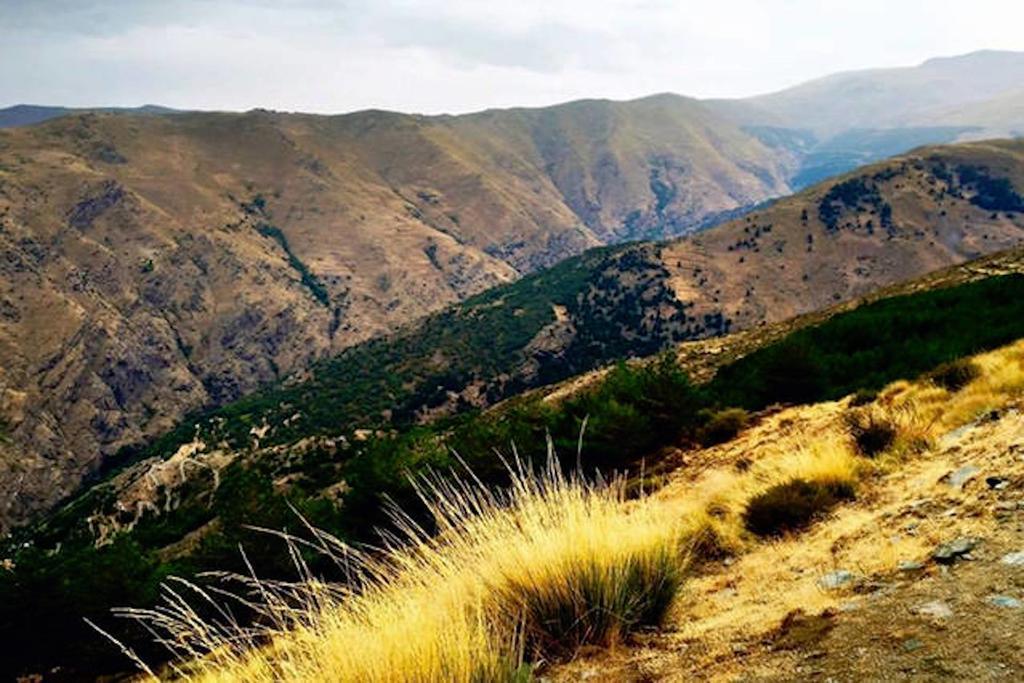 Telecabina Las Catifas เกวคาร์-เซียร์รา ภายนอก รูปภาพ