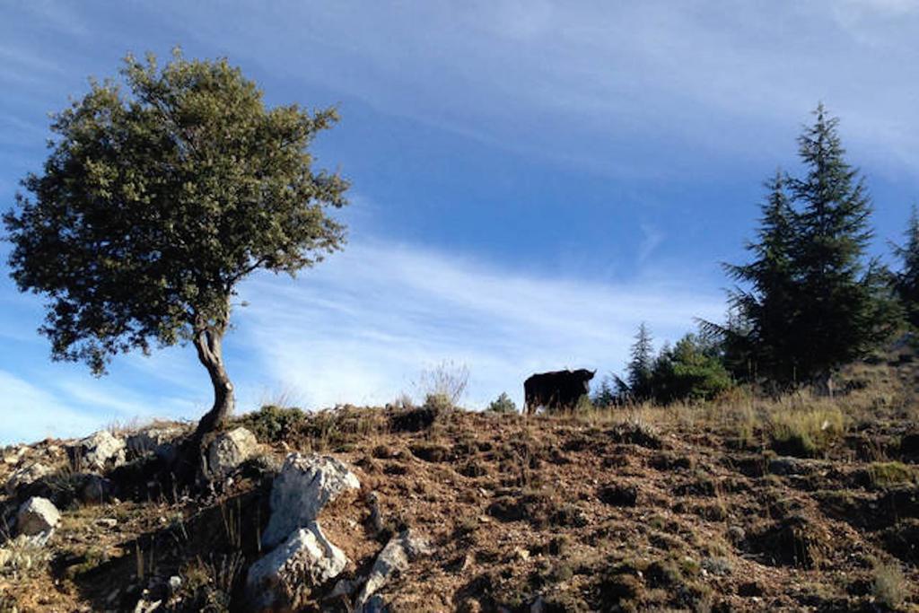 Telecabina Las Catifas เกวคาร์-เซียร์รา ภายนอก รูปภาพ